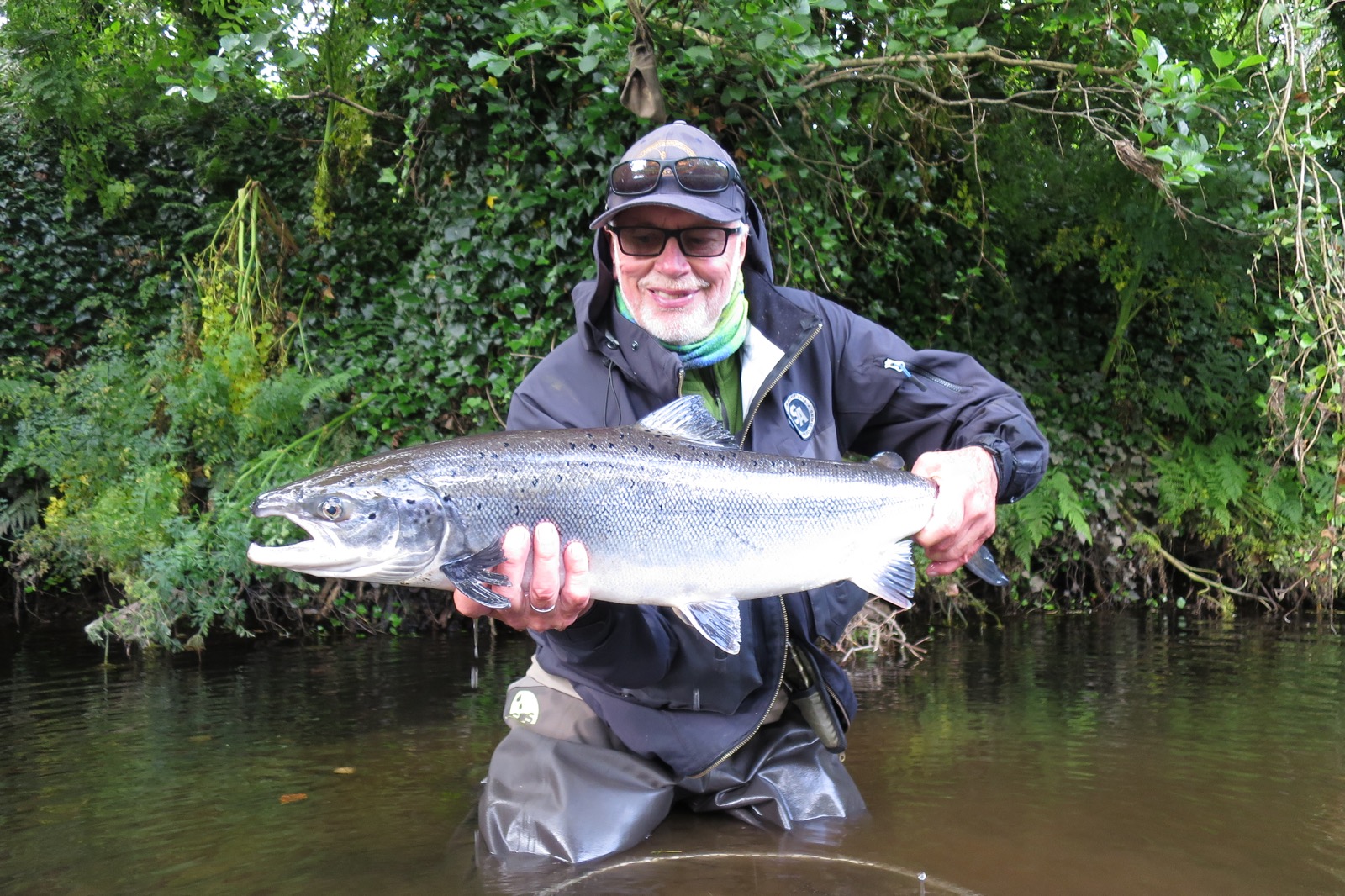 Salmon 1