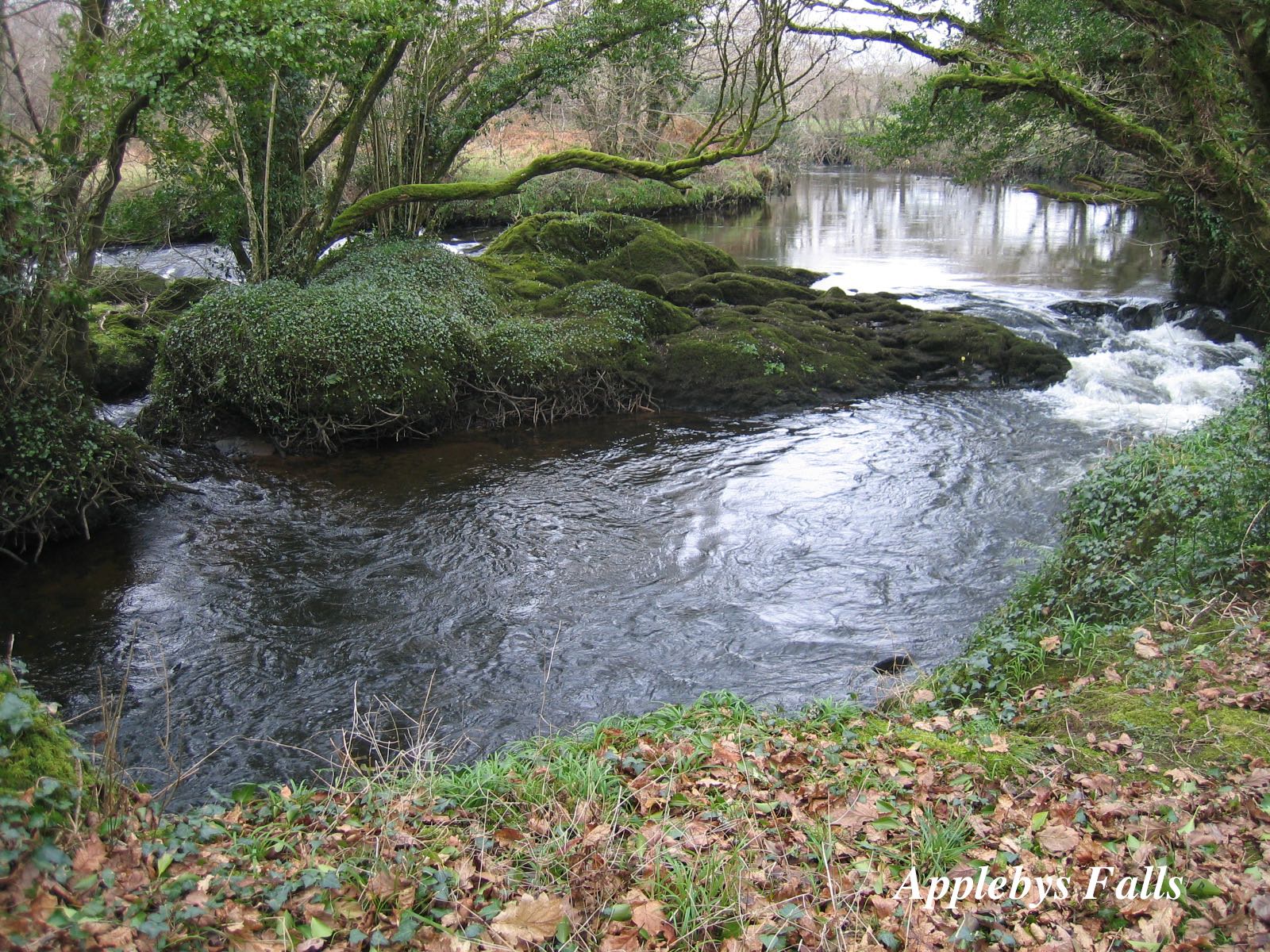 Applebys Falls