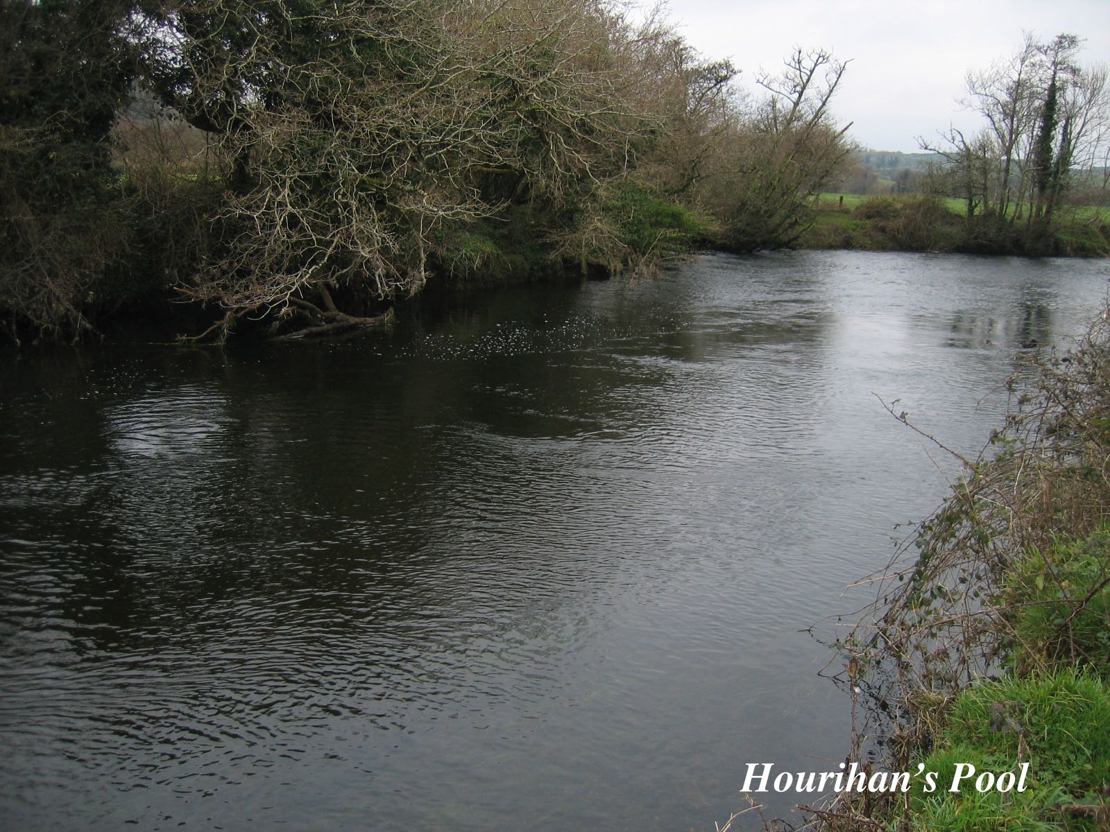 Hourihan&#39;s Pool