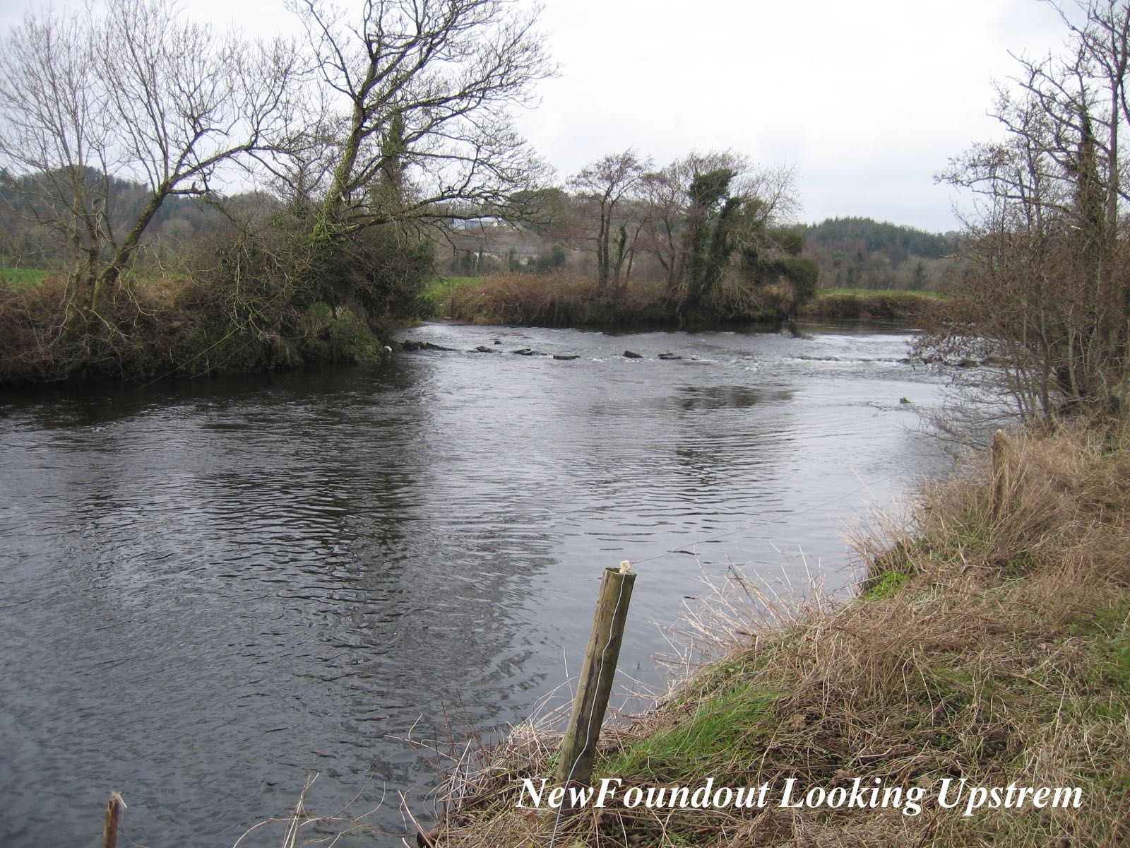 NewFoundout Looking Upstream